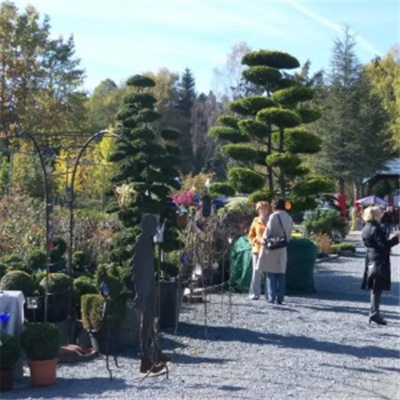 Tag der offenen Tür Tag der offenen Tür