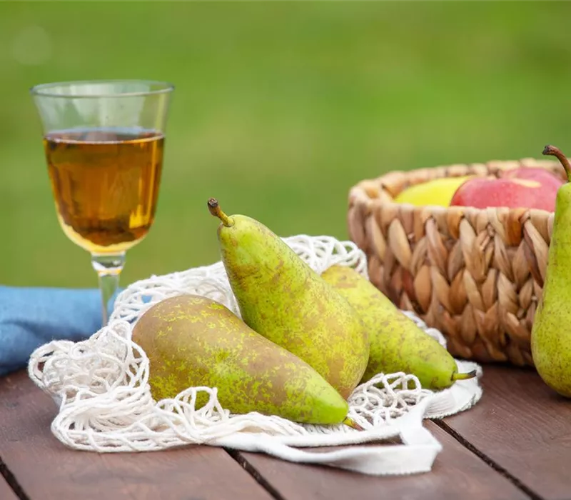 Birnen aus dem eigenen Garten genießen Birnen aus dem eigenen Garten genießen