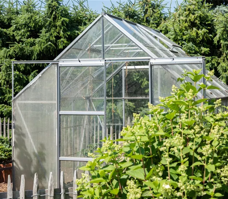 Ob groß oder klein: Gewächshäuser bereichern jeden Garten Ob groß oder klein: Gewächshäuser bereichern jeden Garten