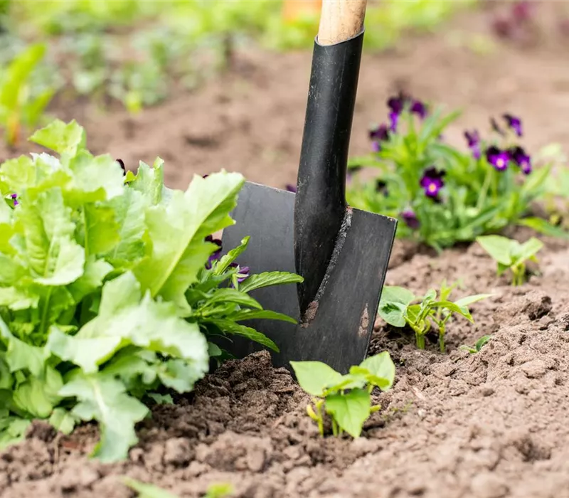 Hilfreiches und praktisches Zubehör zum Gärtnern