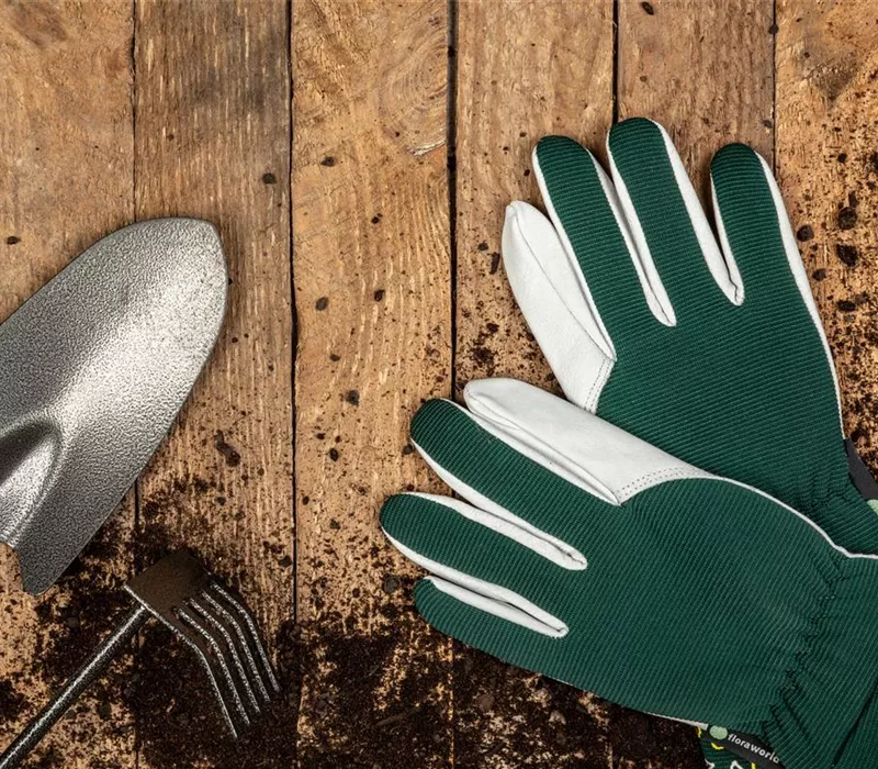 Rechtzeitig für das kommende Gartenjahr den Garten vorbereiten