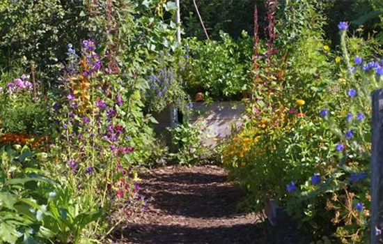 Gartengestaltung - Bauerngarten