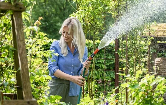 Pflanzenpflege im Sommer für durstige Gartenbewohner