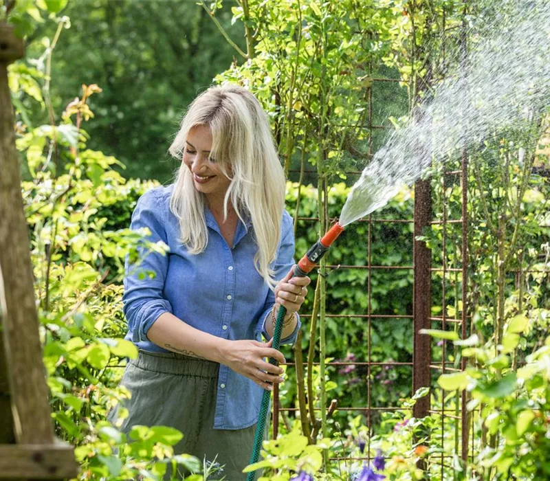 Pflanzenpflege im Sommer für durstige Gartenbewohner