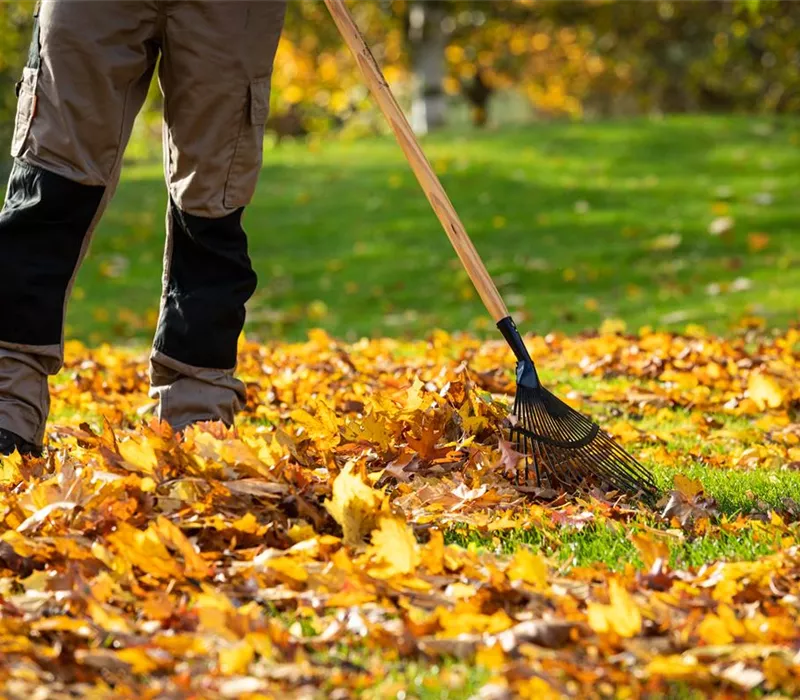 Gartenarbeit im Herbst – Das ist jetzt wichtig Gartenarbeit im Herbst – Das ist jetzt wichtig