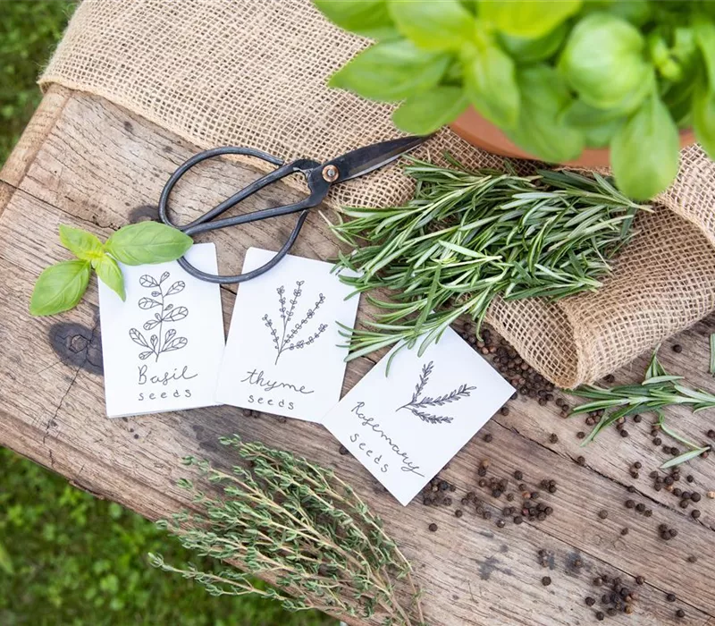 Ein Aussaatkalender sorgt für Übersicht bei der Gartenplanung