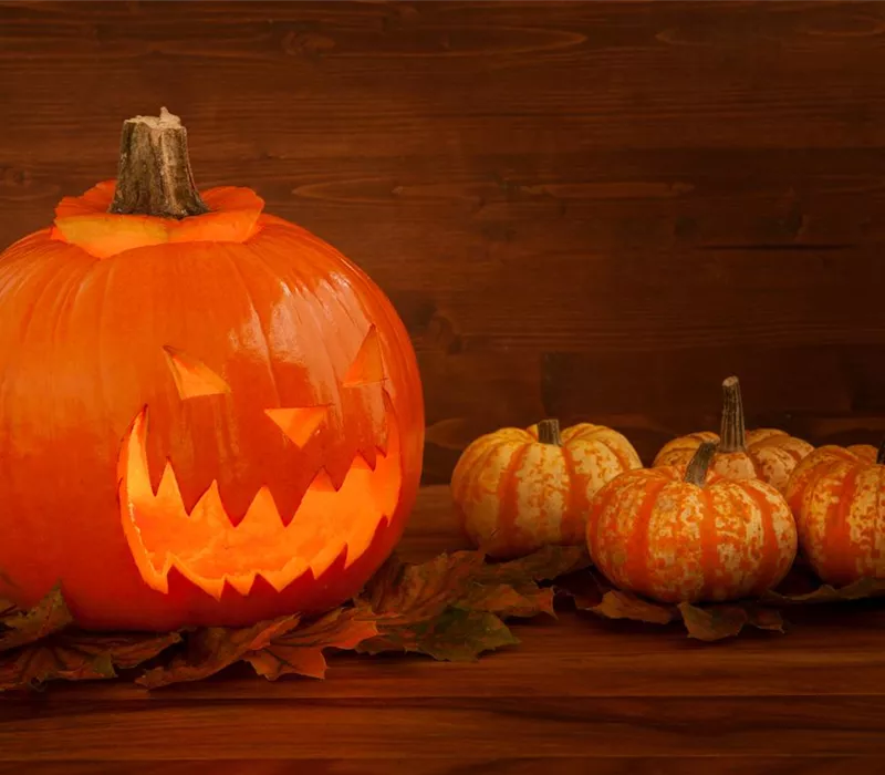 Der Garten zu Halloween – Schaurig schön Der Garten zu Halloween – Schaurig schön