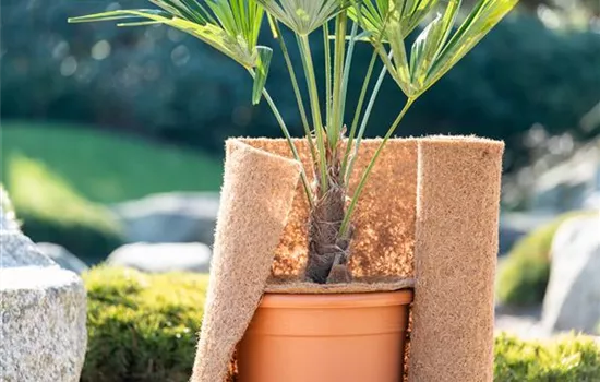 Den Garten winterfest machen