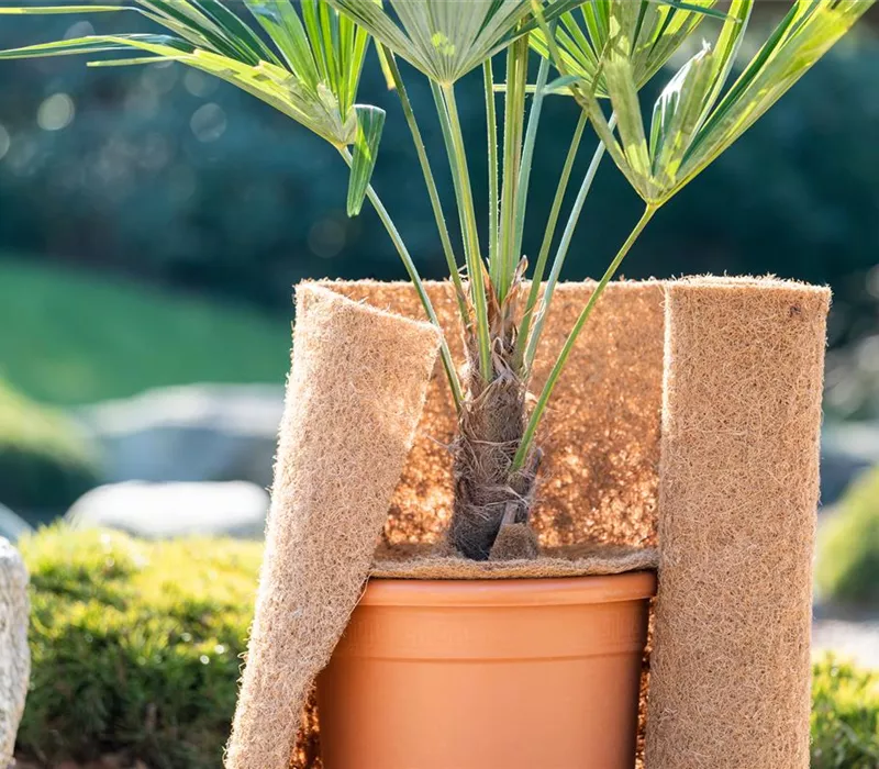 Den Garten winterfest machen Den Garten winterfest machen