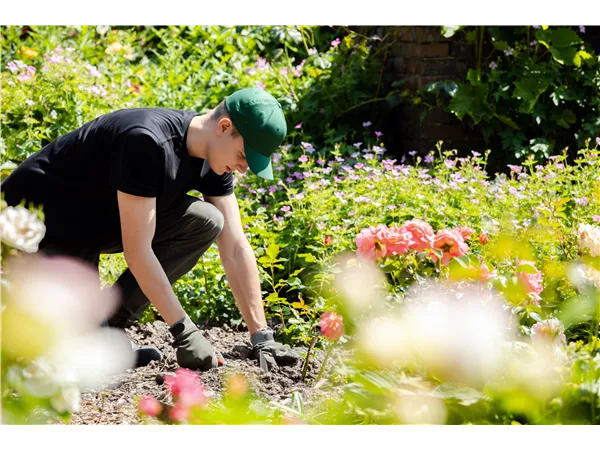 Auszubildende/r -Fachrichtung Baumschule Produktion