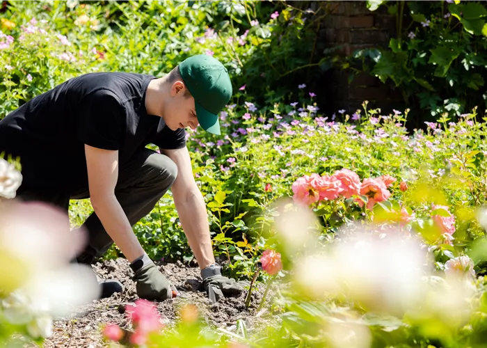 Auszubildende/r -Fachrichtung Baumschule Produktion