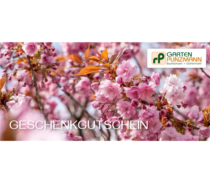 Online Gutschein Online Gutschein