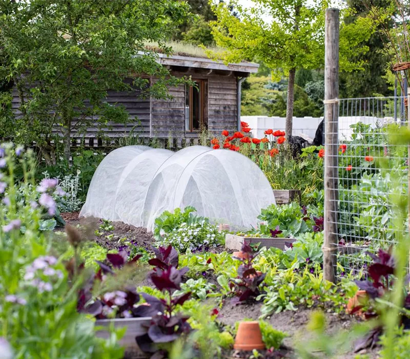 Ein Selbstversorgergarten sorgt für Freiheit